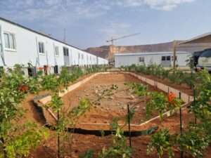 Prefabricated site office complex with landscaped surroundings for project management in Riyadh
